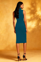 Load image into Gallery viewer, Black High Neck Bodycon Midi Cocktail Dress