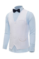 Load image into Gallery viewer, Burgundy Shawl Lapel Single Breasted Men's Suit Vest