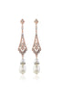 Load image into Gallery viewer, Apricot 1920s Party Accessories Five Piece Sets