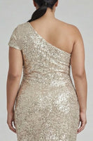Load image into Gallery viewer, Plus Size Sparkly Champagne One Shoulder Sequins Long Formal Dress