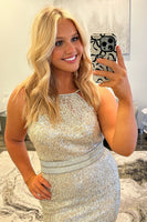 Load image into Gallery viewer, Sparkly Sliver Sequin Mermaid Long Prom Dress