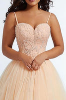 Load image into Gallery viewer, Daffodil Spaghetti Straps A Line Plus Size Prom Dress with Appliques