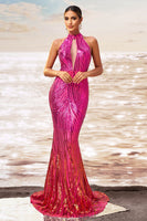 Load image into Gallery viewer, Sparkly Fuchsia Mermaid Sequin Maxi Prom Dress with Keyhole