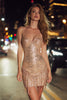 Load image into Gallery viewer, Sparkly Champagne Short Sequins Tight Cocktail Dress with Fringes