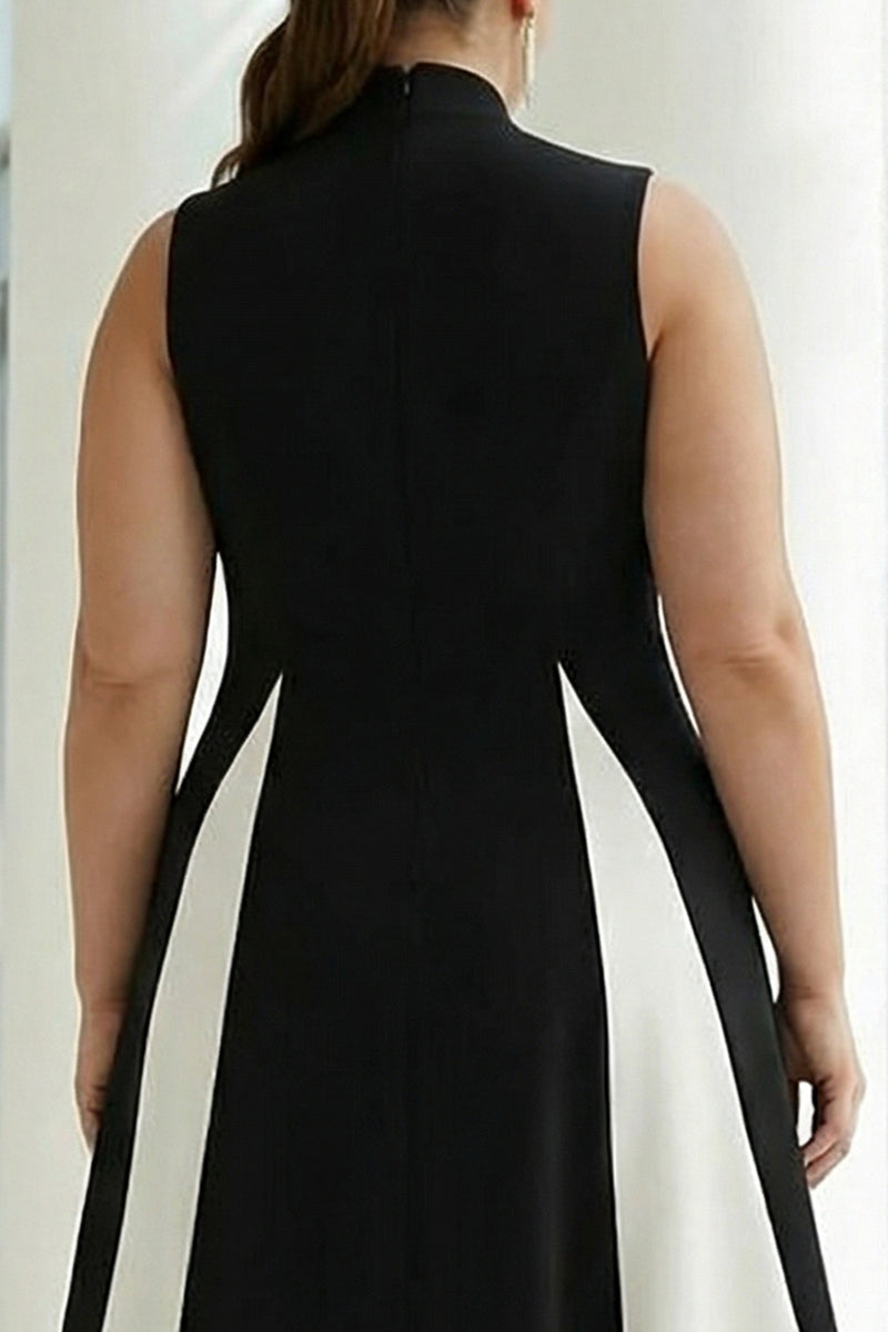 Load image into Gallery viewer, Plus Size Black and White A Line High Neck Maxi Formal Dress