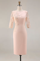 Load image into Gallery viewer, Candy Pink Bodycon Bateau Neck Midi Mother of the Bride Dress with Embroidery