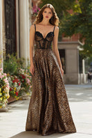 Load image into Gallery viewer, Brown A-Line Leopard Print Long Corset Prom Dress with Lace