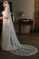 Load image into Gallery viewer, Ivory Tier Long Wedding Lace Veil