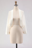 Load image into Gallery viewer, Simple Black Long Sleeves Women Jacket