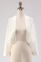 Load image into Gallery viewer, Simple Black Long Sleeves Women Jacket