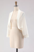 Load image into Gallery viewer, Simple Black Long Sleeves Women Jacket