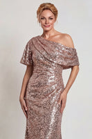 Load image into Gallery viewer, Sparkly Champagne Mermaid Sequins One Shoulder Long Mother of the Bride Dress