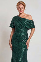 Load image into Gallery viewer, Sparkly Champagne Mermaid Sequins One Shoulder Long Mother of the Bride Dress