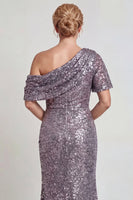 Load image into Gallery viewer, Sparkly Champagne Mermaid Sequins One Shoulder Long Mother of the Bride Dress