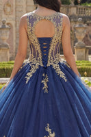 Load image into Gallery viewer, Boat Neck Glitter Princess Corset Floral Long Appliqued Navy Quinceanera Dress