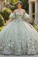 Load image into Gallery viewer, Sage Green V-Neck Princess Floral Puff Sleeves Long Quinceanera Dress