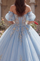 Load image into Gallery viewer, Long Puff Sleeves Sky Blue Floral Glitter Corset Princess Quinceanera Dress