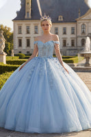 Load image into Gallery viewer, Floral Long Corset Princess Light Blue Quinceanera Dress with Pearls