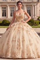 Load image into Gallery viewer, Champagne Corset Spaghetti Straps Floral Glitter Long Prom Dress