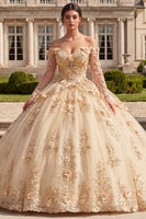 Load image into Gallery viewer, Floral Long Sleeves Corset Champagne Glitter Long Prom Dress