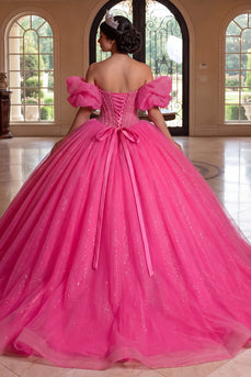 Strapless Sparkly Fuchsia Princess Long Beaded Corset Prom Dress