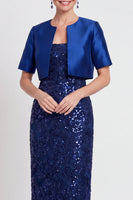 Load image into Gallery viewer, Sparkly Navy 2 Piece Sheath Sequins Long Mother of the Bride Dress with Jacket