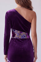 Load image into Gallery viewer, Floral Plum Velvet One Shoulder Sheath Long Sleeve Evening Dress