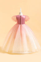 Load image into Gallery viewer, Blue A Line Tulle Girl Dress with Beading