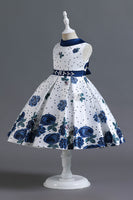 Load image into Gallery viewer, A Line Jewel Neck Blue Printed Girl Dress