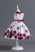 Load image into Gallery viewer, A Line Jewel Neck Blue Printed Girl Dress