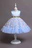 Load image into Gallery viewer, A Line Jewel Neck Pink Girl Party Dress with Appliques