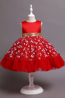 Load image into Gallery viewer, A Line Jewel Neck Pink Girl Party Dress with Appliques