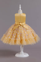 Load image into Gallery viewer, A Line Jewel Neck Pink Girl Party Dress with Appliques