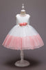 Load image into Gallery viewer, Pink Sleeveless Flower Tulle Girls&#39; Dress With Bow