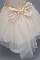 Load image into Gallery viewer, Champagne Princess Butterfly Tulle Girls&#39; Dress With Bow