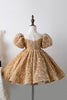 Load image into Gallery viewer, Blue A Line Puff Sleeves Sequins Girls Dresses