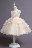 Load image into Gallery viewer, Pink A Line Appliques Sleeveless Round Neck Girls Dresses