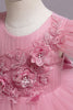 Load image into Gallery viewer, Tiered Tulle Pink Flower Girl Dress with Beading