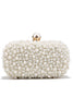 Load image into Gallery viewer, Pearl Dinner Clutch